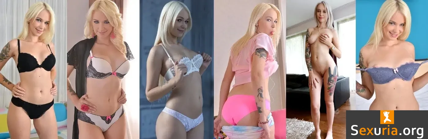 Arteya Collection - MegaPack