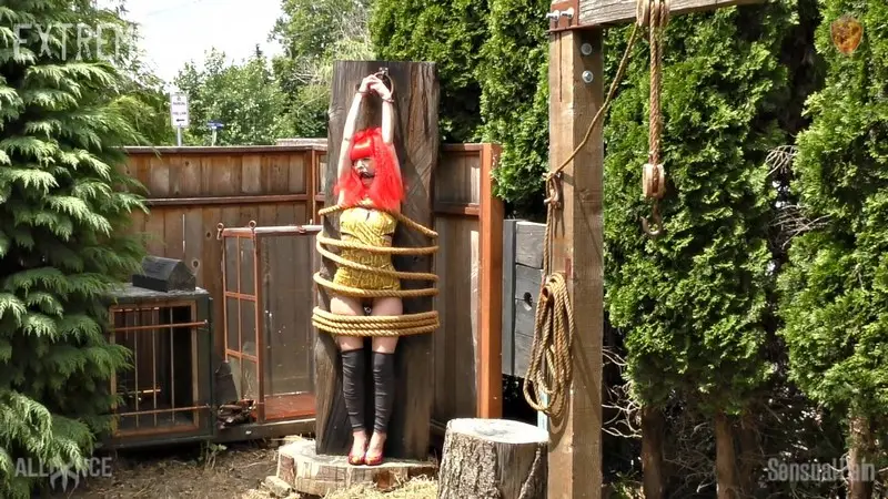 Captured Firecracker Redhead 1080p