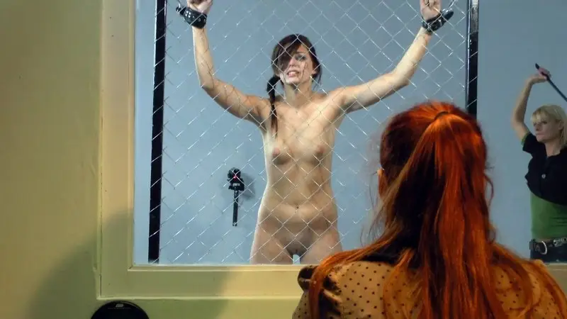 The Milgram Experiment 2 720p