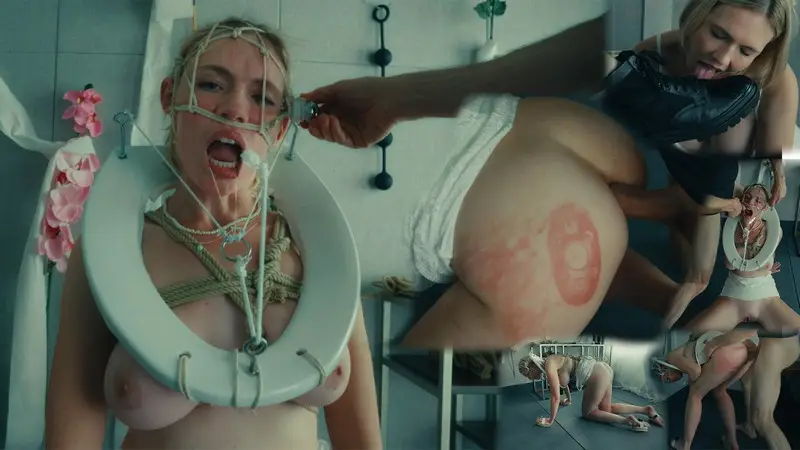 The Most Beautiful Toilet Pet in the World 1080p