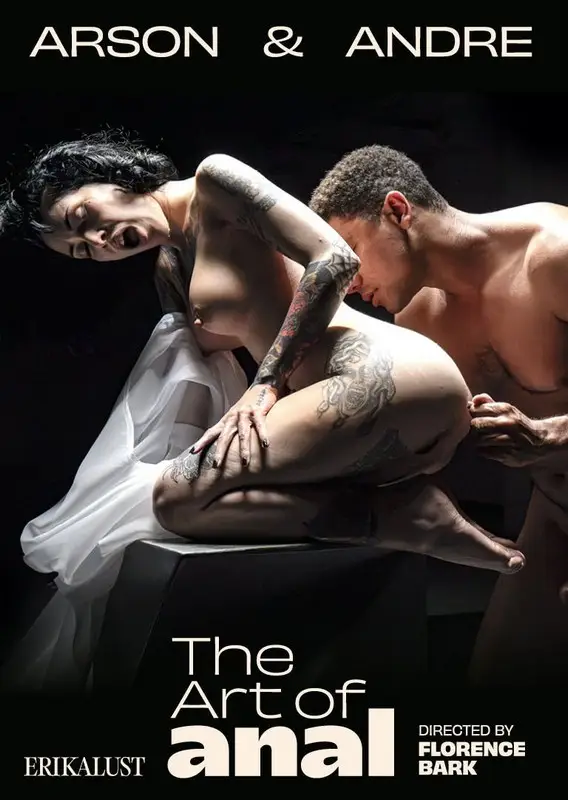 The Art Of Anal 1080p