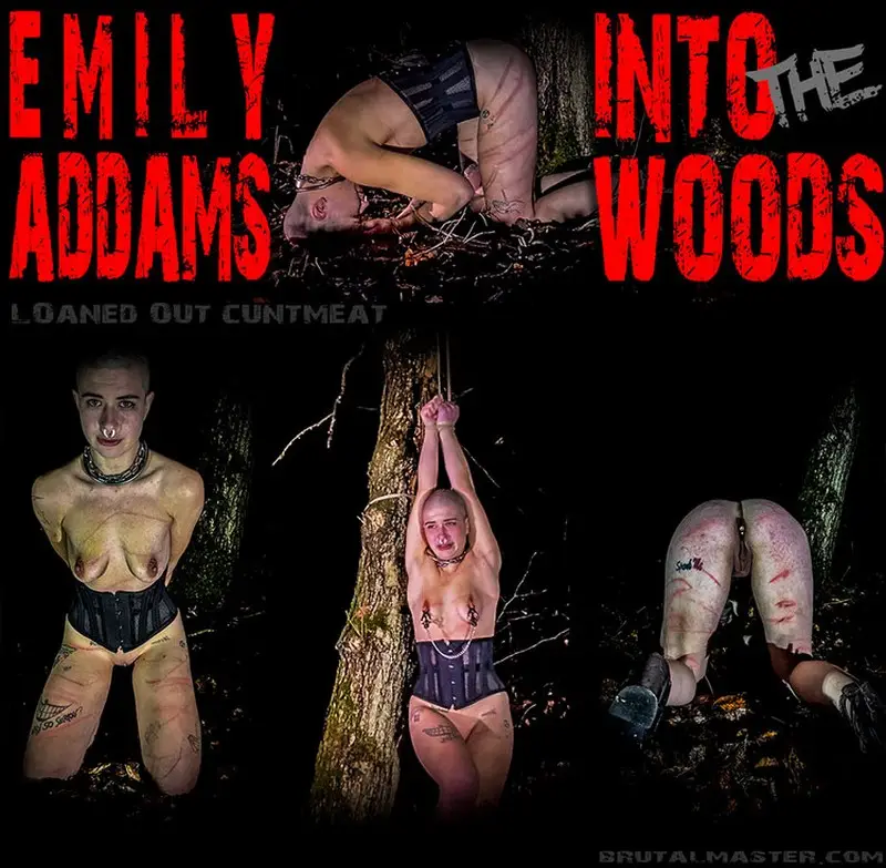 In The Woods 1080p