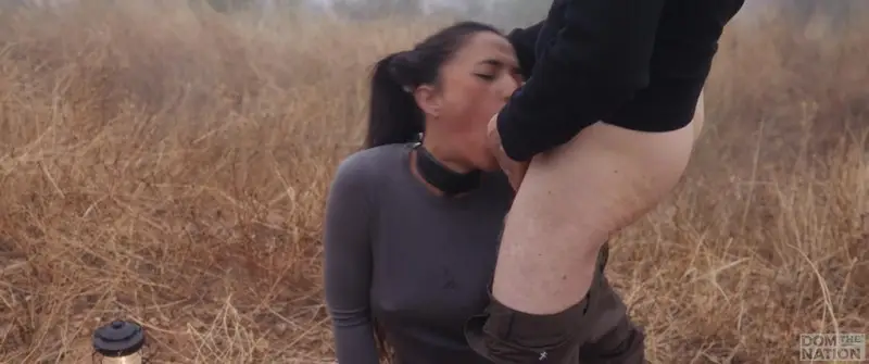 The Unnatural Is Our Nature 858p