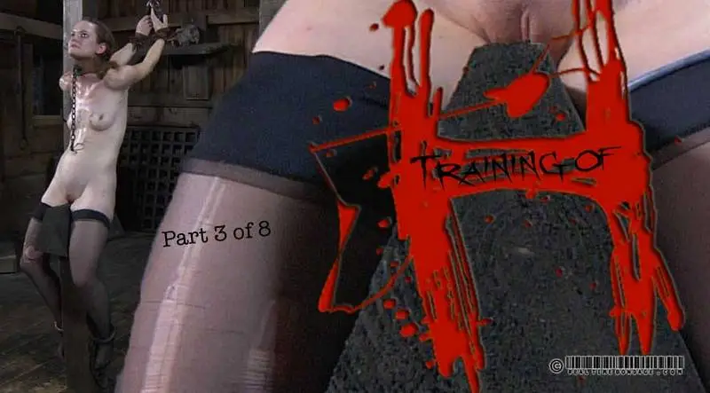 Training of H Part 3 720p
