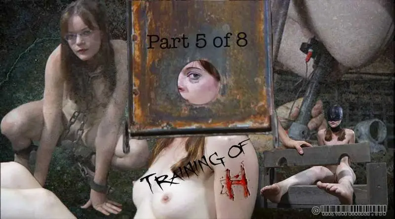 Training of H Part 5 720p
