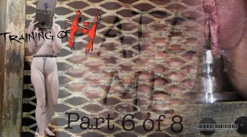 Training of H Part 6 720p
