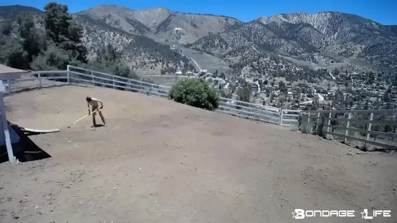 Yard Maintenance